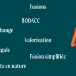 Mots-clés liés aux fusions, valorisation, et publicité légale, incluant TUP, BODACC, et parité d'échange sur fond vert.